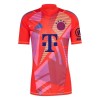 Camiseta de fútbol Portero FC Bayern de Múnich 2024-25 - Hombre